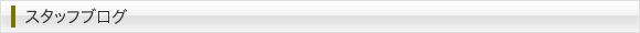 スタッフブログ